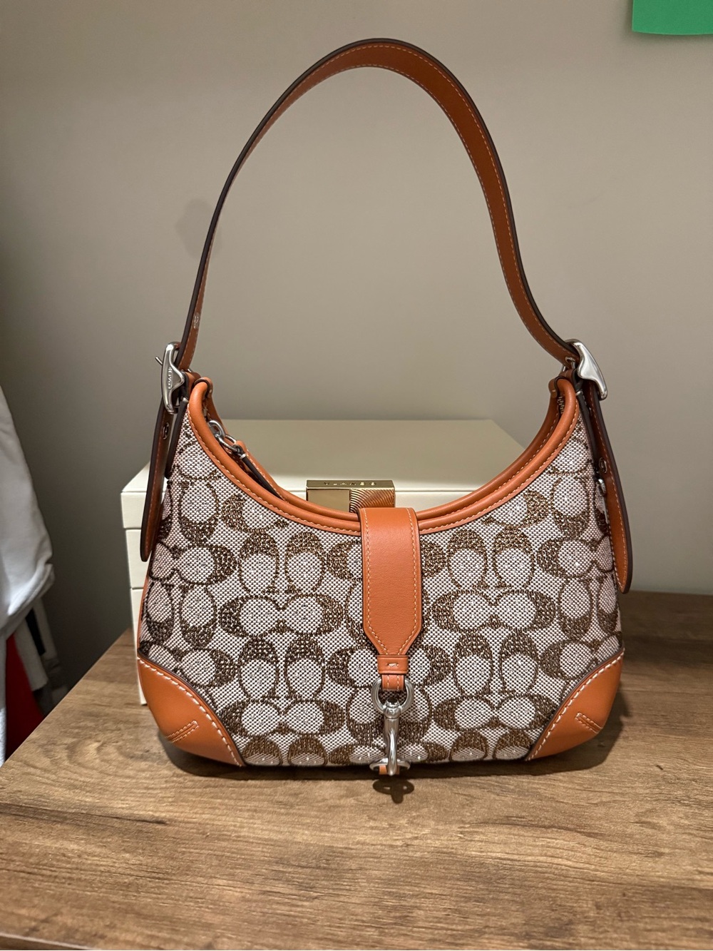 Coach Crystal Signature Jacquard Hamptons Hobo Bag